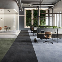 Rudiments Коллекция Basalt 685 фото 2 | FLOORDEALER